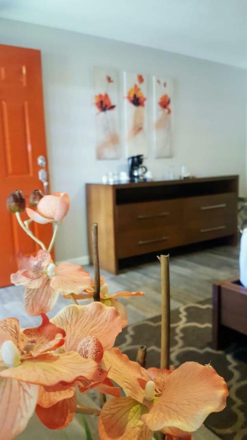 Hotel Quinta Arratz Villa de Juarez Exteriér fotografie
